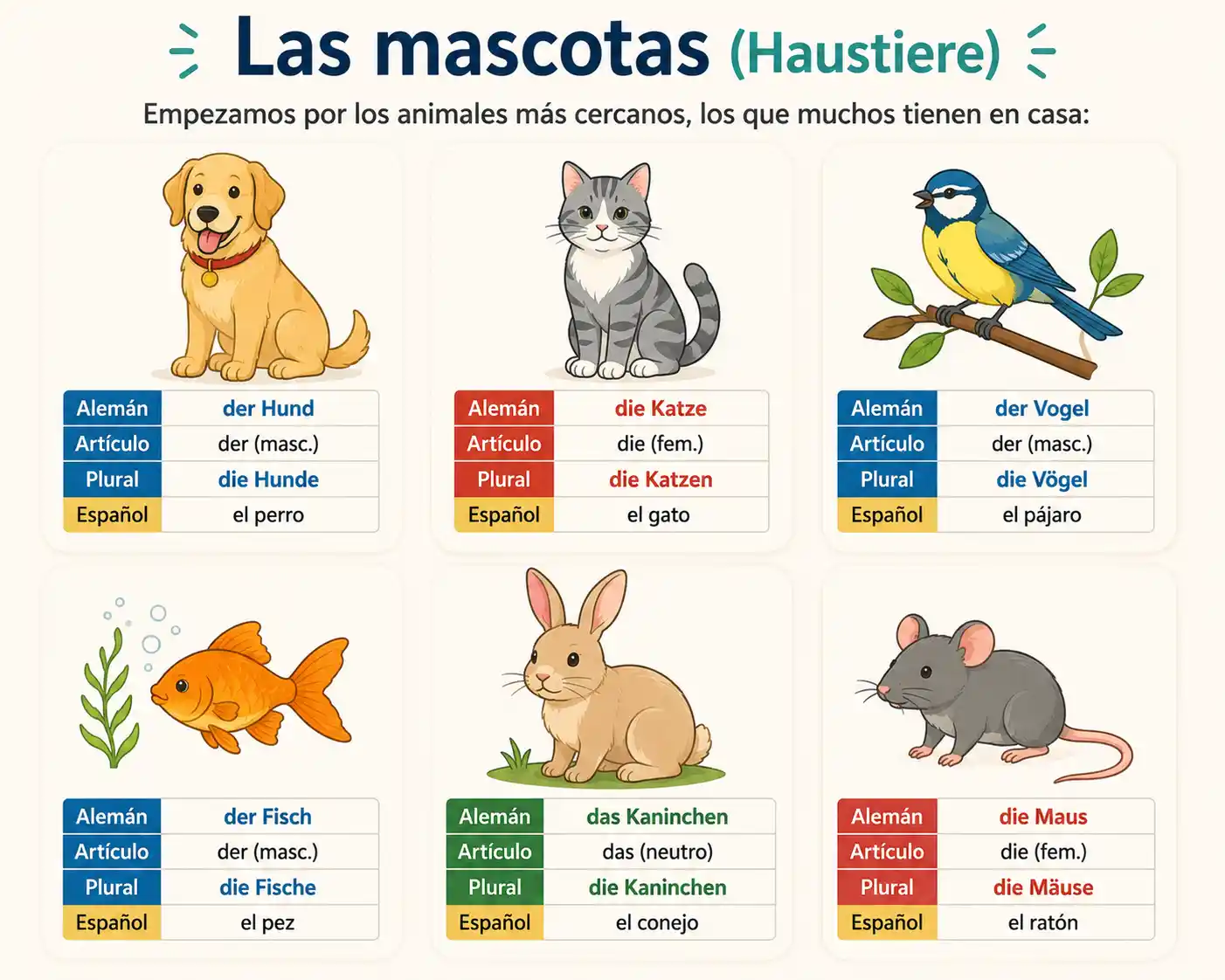 Die Haustiere – las mascotas en alemán: der Hund (el perro), die Katze (el gato), der Vogel (el pájaro), der Fisch (el pez), das Kaninchen (el conejo) y die Maus (el ratón)